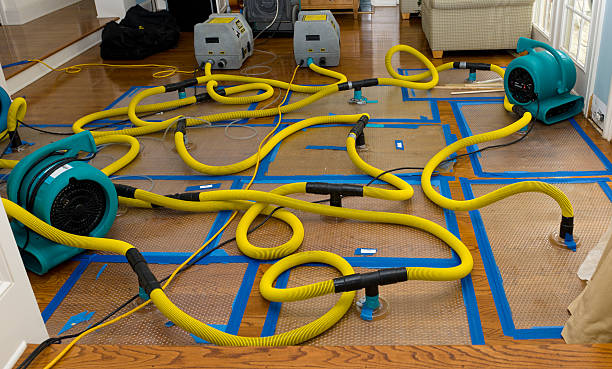 Professional Structural Drying And Dehumidification technician working in Columbus, MS